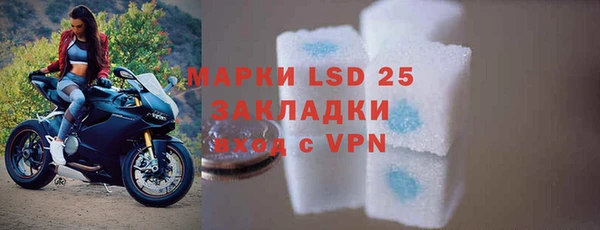 шишки Баксан