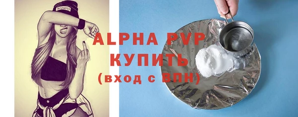 гашик Осинники