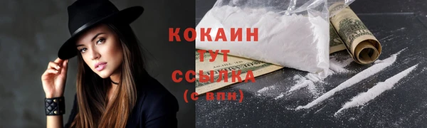 шишки Баксан