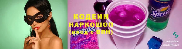 шишки Баксан