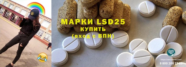 шишки Баксан