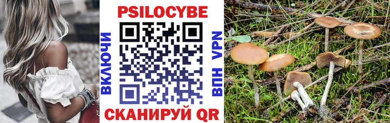 Псилоцибиновые грибы прущие грибы  где найти   Краснообск 